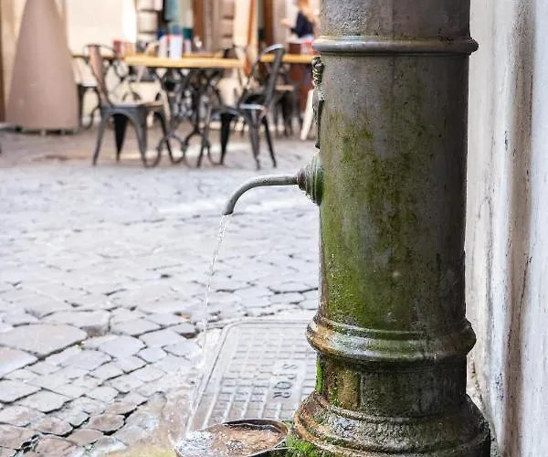 Navona "the Corner" Roma
